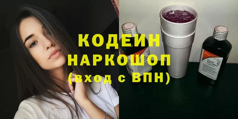 магазин продажи наркотиков  Анадырь  Кодеиновый сироп Lean напиток Lean (лин) 